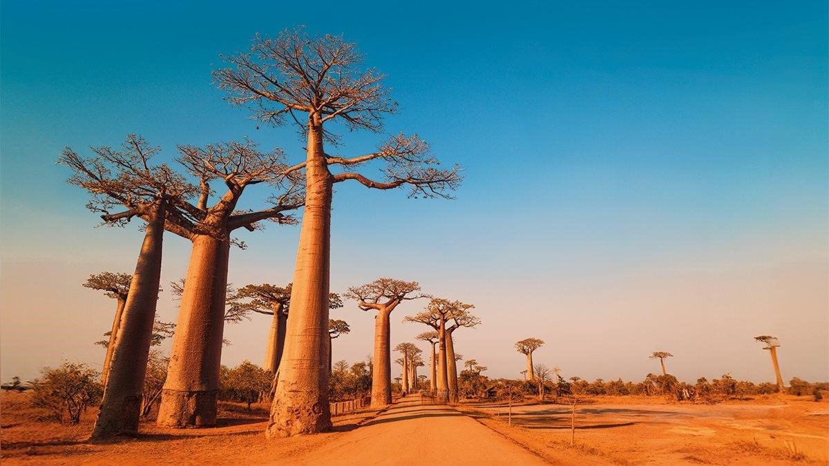 Exit your comfort zone volunteering abroad - College of Optometrists